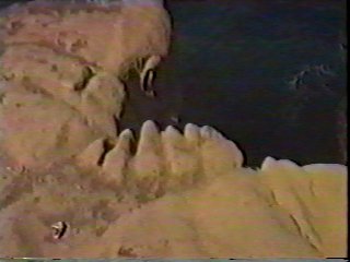 Bear Claw photo